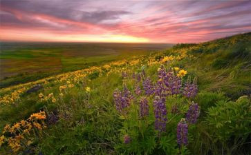 妙先生作文参考6篇