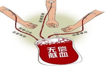 世界献血日活动总结6篇