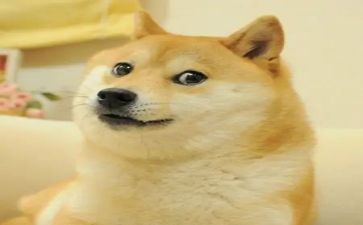 我笑了作文600字7篇