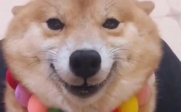 生活因微笑而精彩作文8篇