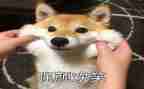 笑对生活作文600字优秀7篇