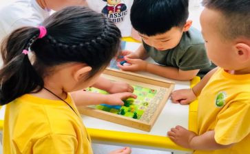 小班幼儿教案反思8篇