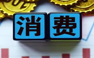 消费微调查报告参考5篇