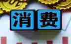消费微调查报告参考5篇