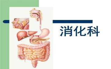 消化科护士工作总结5篇