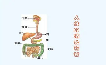 消化内科工作计划6篇
