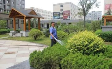 小区物业客服年终工作总结7篇