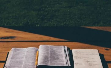 小说作文读后感7篇