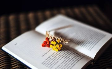 读小说写读后感参考7篇