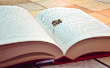 读小说写读后感6篇