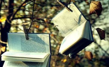 小说作文读后感精选5篇