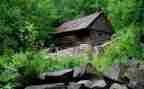音乐小屋教案6篇