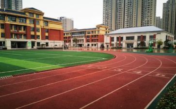 校园活动总结6篇