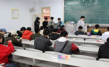 小学小组活动方案8篇