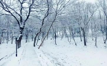 下雪天教案6篇