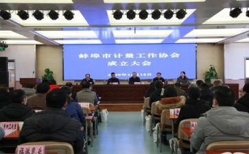 网协会工作总结范文8篇