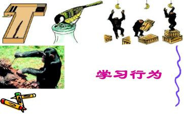 行为调查报告7篇