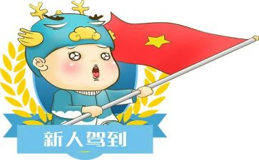 入职新人年终总结8篇