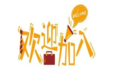 新人销售工作总结和计划6篇