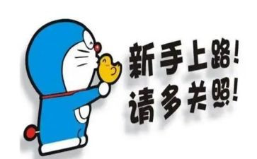 新手会计的工作计划5篇