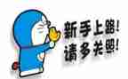 新手会计的工作计划5篇
