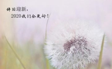 编辑新一年工作计划5篇