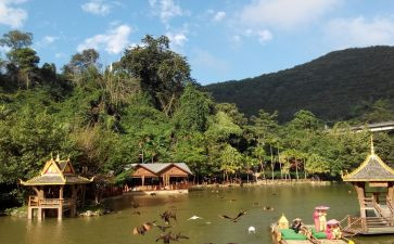西双版纳旅游心得7篇
