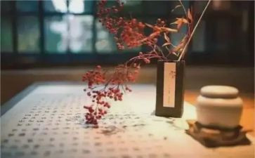 说修养作文7篇