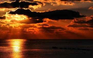 夕阳的云作文8篇