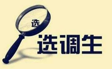 选调生工作心得体会5篇
