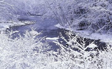 学雷锋除雪活动总结精选8篇