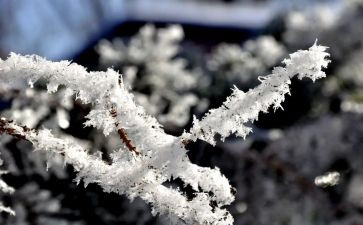 学雷锋除雪活动总结模板6篇