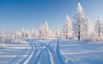 关于除雪活动的总结7篇
