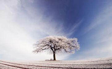 雪房子教案推荐5篇
