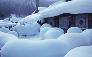 我欣赏雪作文400字8篇