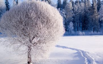 雪房子教案优秀5篇