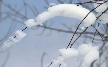 我欣赏雪作文400字优质6篇