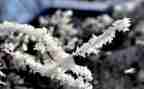 雪宝宝教案推荐6篇