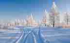 关于雪的高中作文优秀8篇