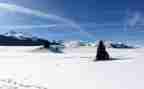 雪宝宝教案最新6篇