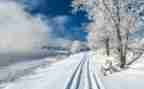 幼儿园关于雪的教案精选5篇