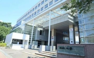 学部教学工作总结范文5篇