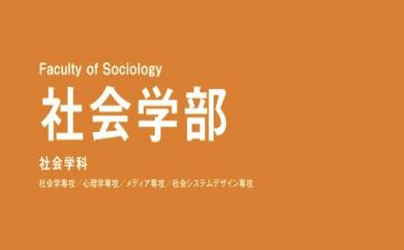 学部主任述职报告8篇
