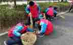 学雷锋活动总结300范文7篇