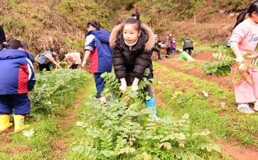 学农前作文5篇