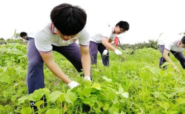 学农个人总结字5篇
