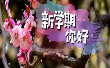 2024下学期教师工作总结参考5篇