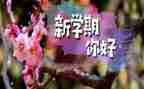 秋学期小班个人工作计划通用8篇