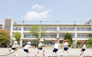 大学生军训个人总结8篇