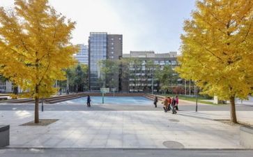 学校月安全工作总结推荐7篇